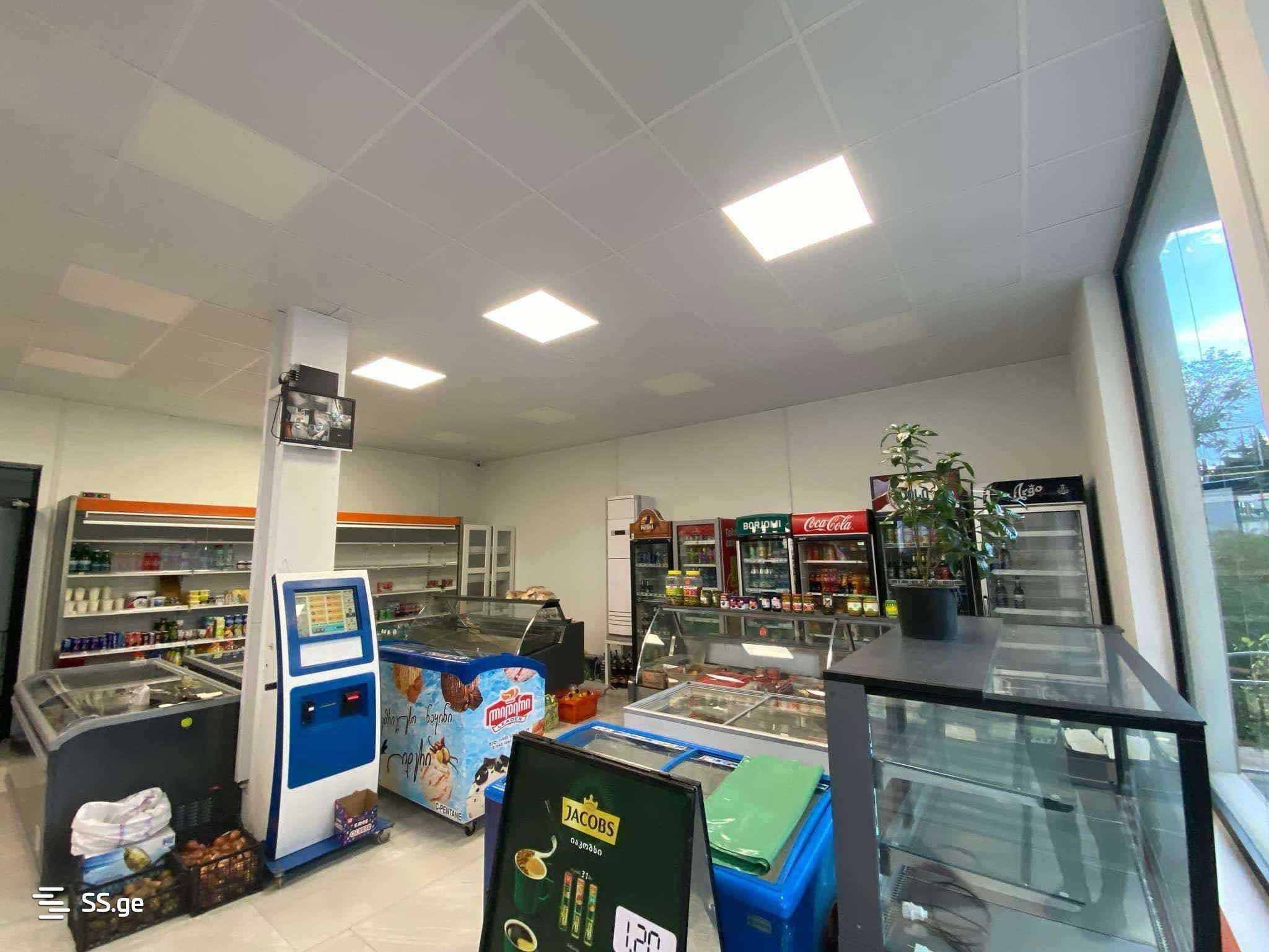 Commercial Space For Sale. Sagarejo view 8