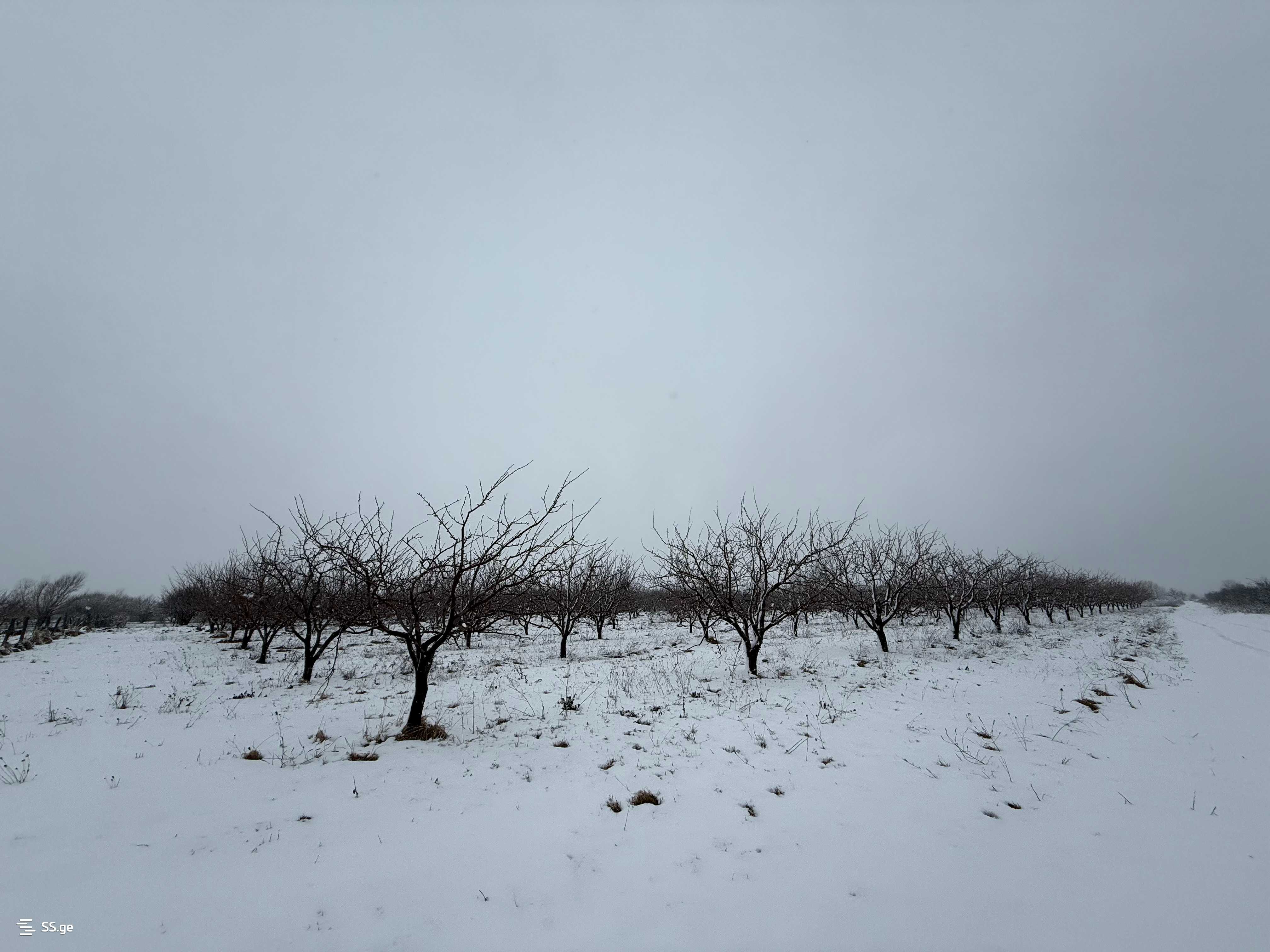 Land For Sale. Gori, 2 of 4