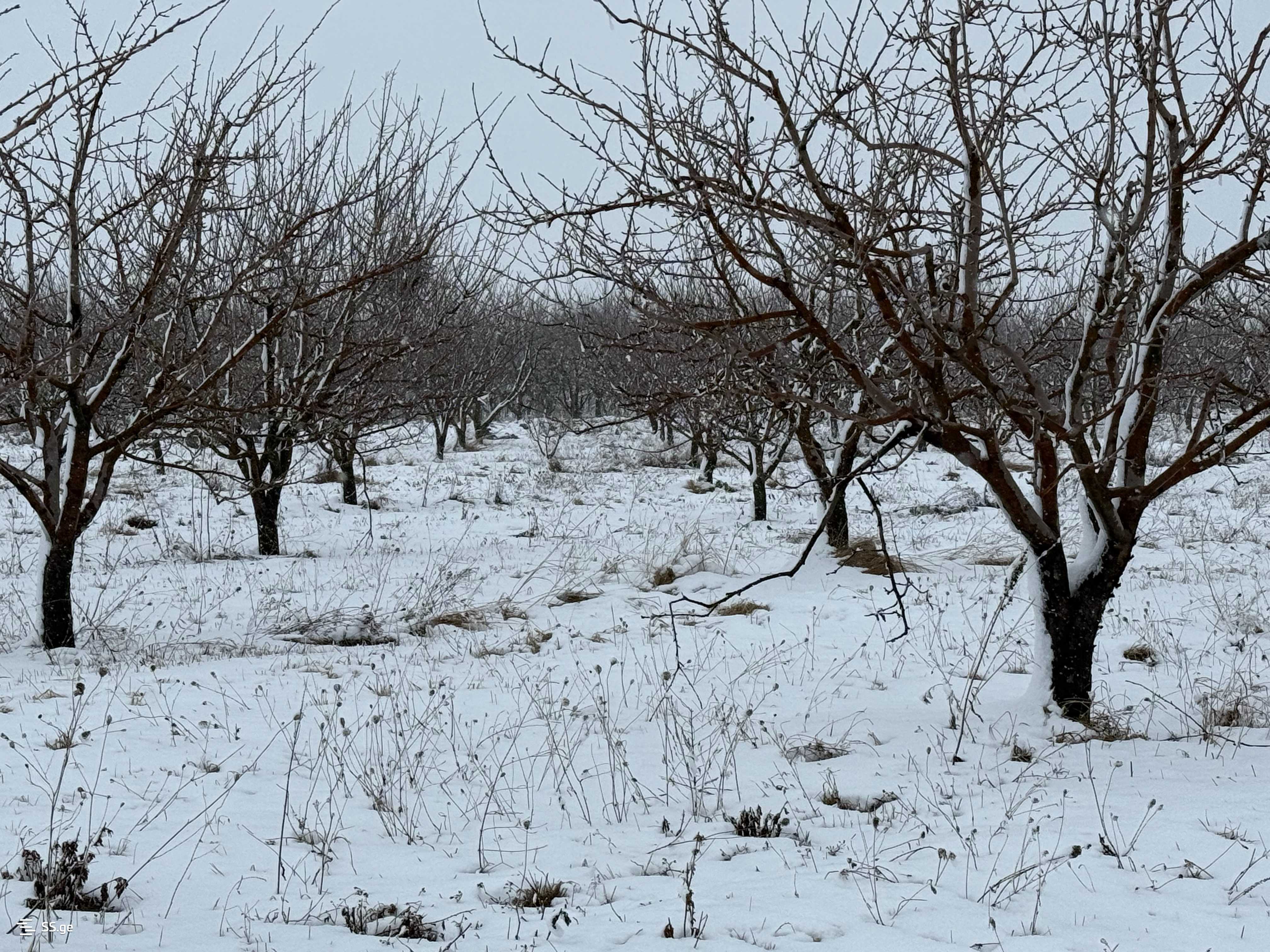 Land For Sale. Gori, 3 of 4