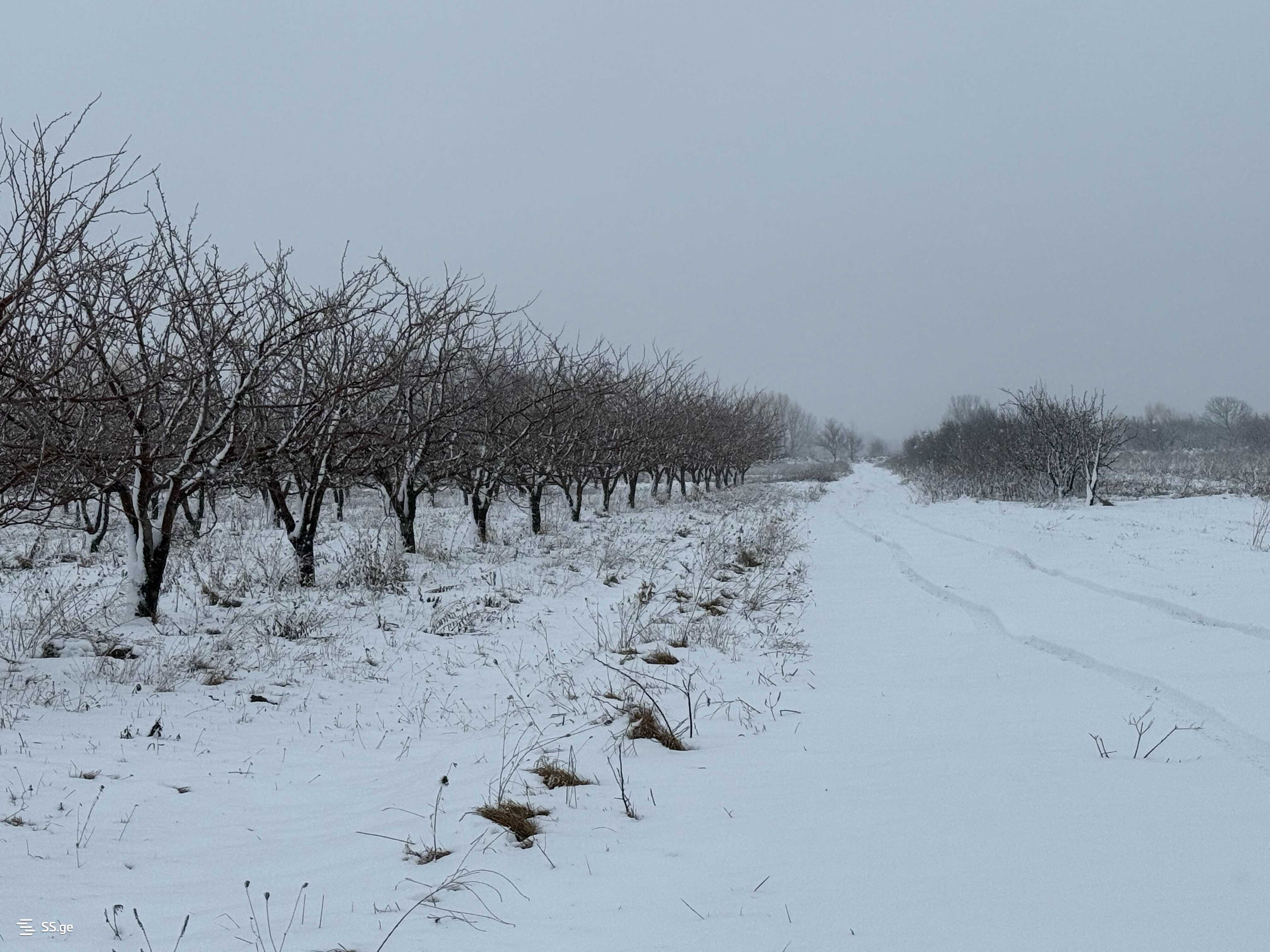 Land For Sale. Gori, 1 of 4