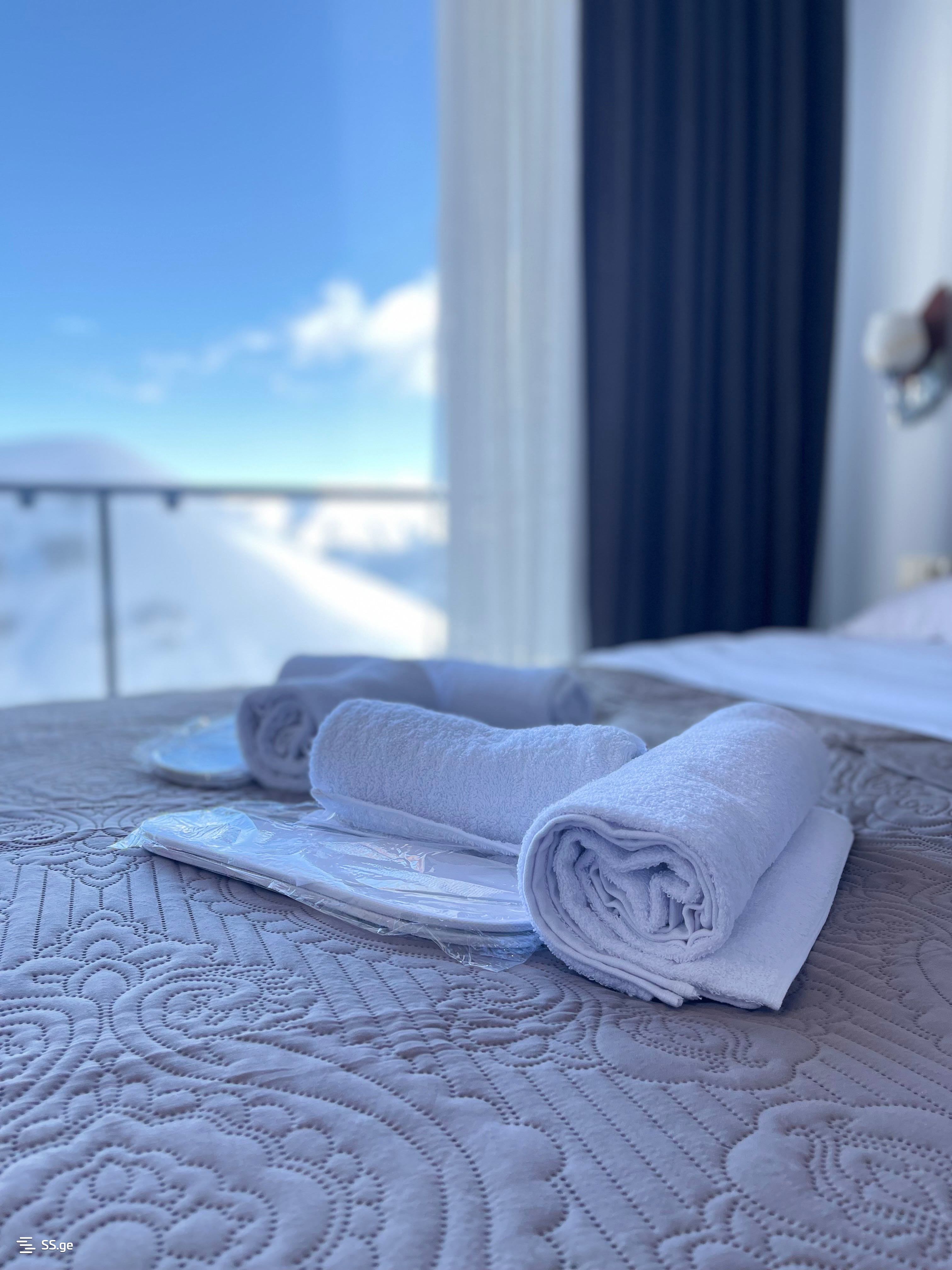 1 Room Flat Daily Rent. Gudauri, 3 of 4