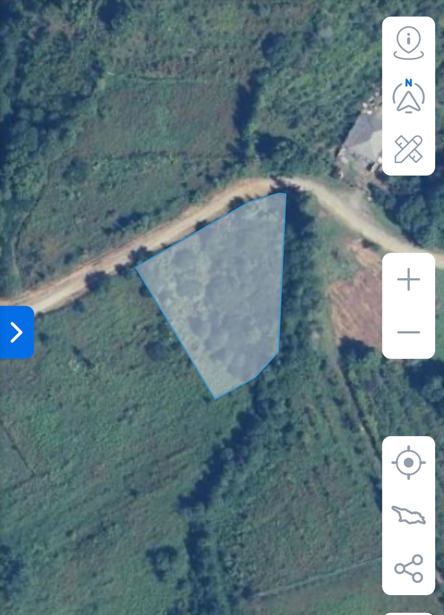 Land For Sale. Kvemo Natanebi