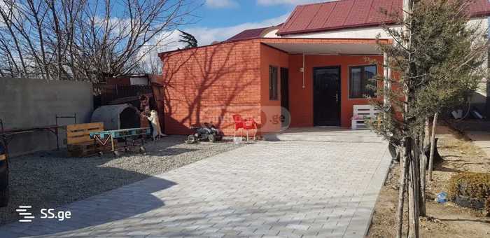 https://static.ss.ge/20250308/14_b22ff194-f713-4b1d-9083-2f2e5b082ad8_Thumb.jpg