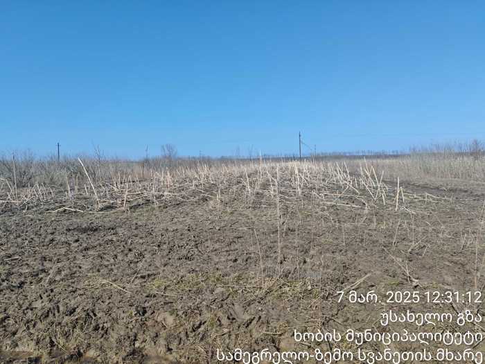 https://static.ss.ge/20250310/17_11d7f6d8-6c83-4049-a461-be8c52e13b51_Thumb.jpg