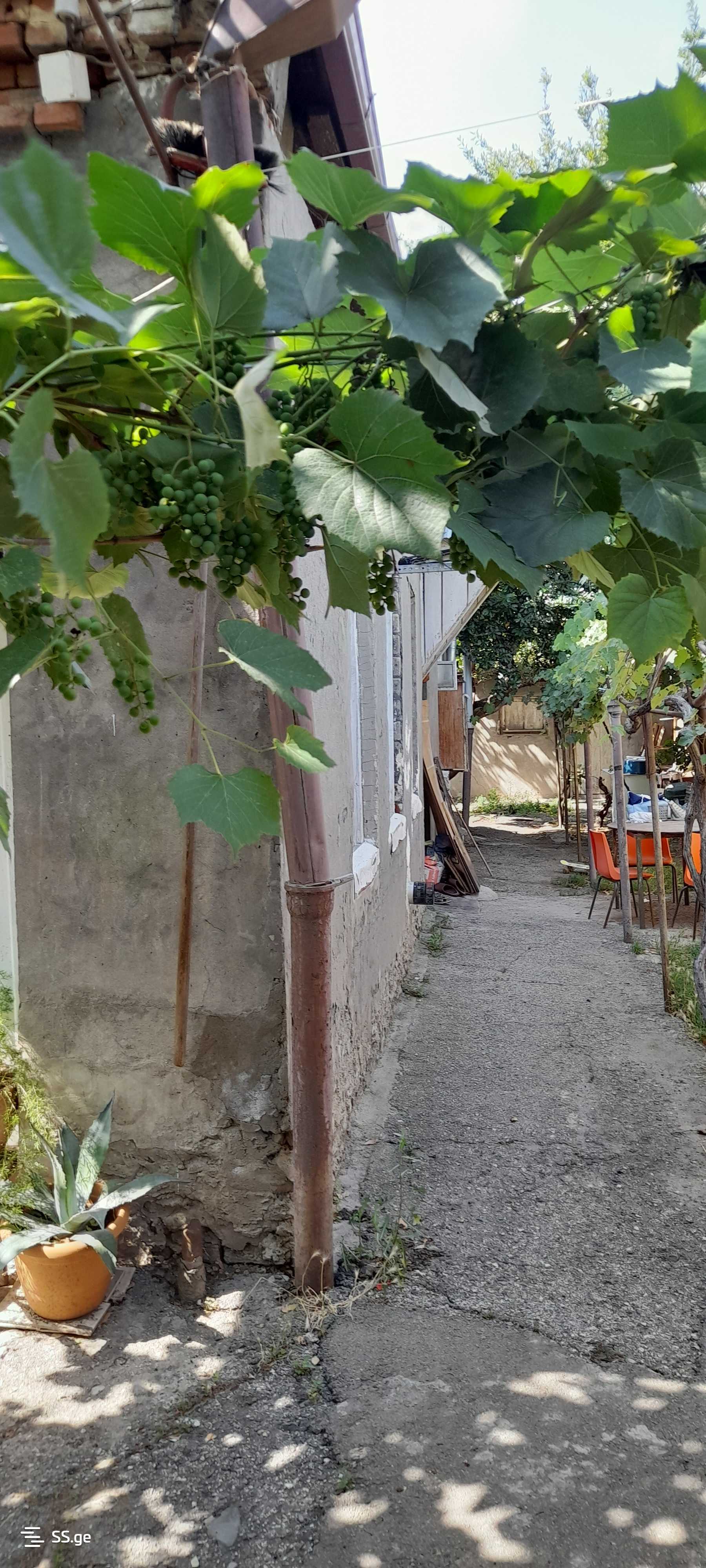 3 Room Private House For Rent. Sanzona, 1 of 6