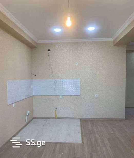 https://static.ss.ge/20250311/15_78e520fd-7398-4242-a7cf-177730e76b13_Thumb.jpg