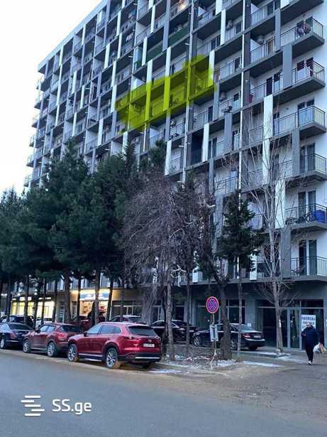 https://static.ss.ge/20250312/11_6524b737-ae8e-4352-8c73-21bbc3a40a88_Thumb.jpg