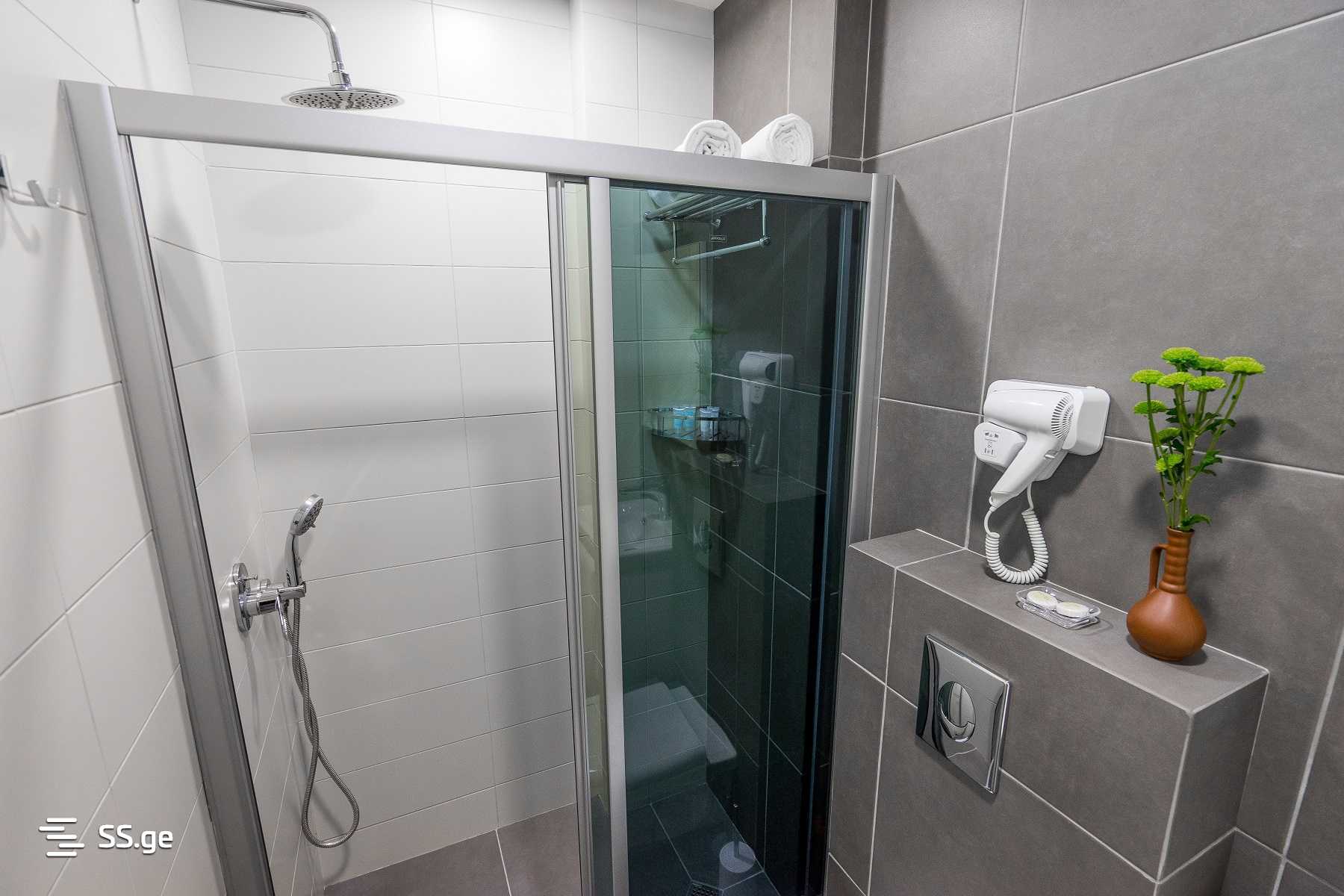 9 Room Hotel For Rent. Sololaki view 9