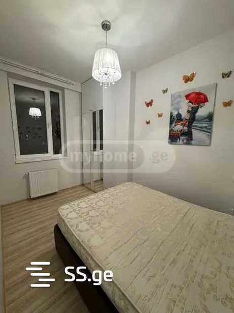 https://static.ss.ge/20250312/9_fcbb40a2-db05-4b15-94a0-be53a6e39a1c_Thumb.jpg