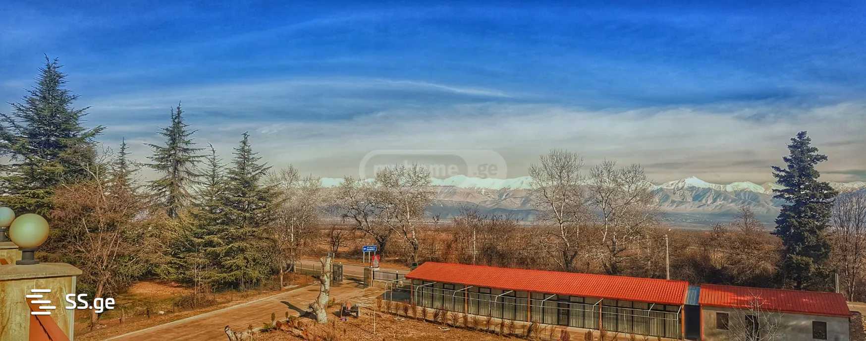 იყიდება Hotel თელავიში view 6