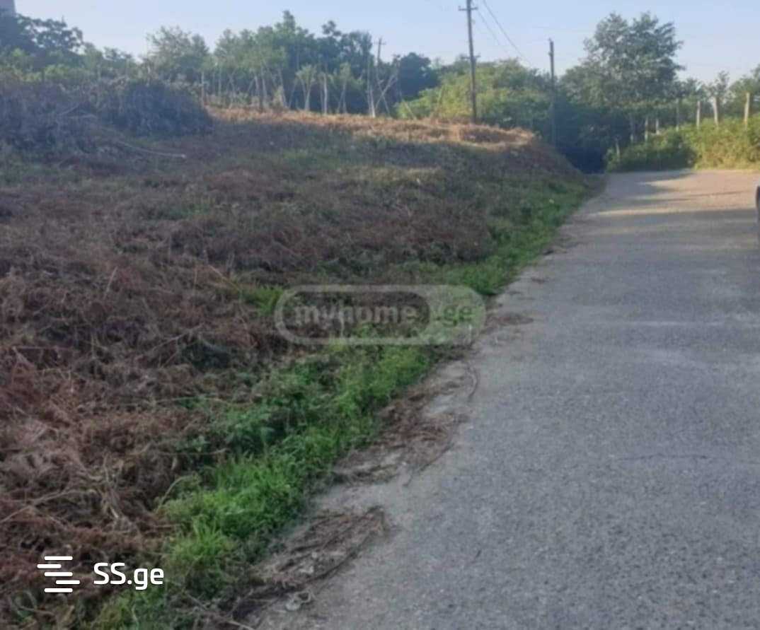 Land For Sale. Akhalsopeli view 2