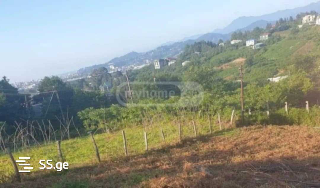 Land For Sale. Akhalsopeli view 3