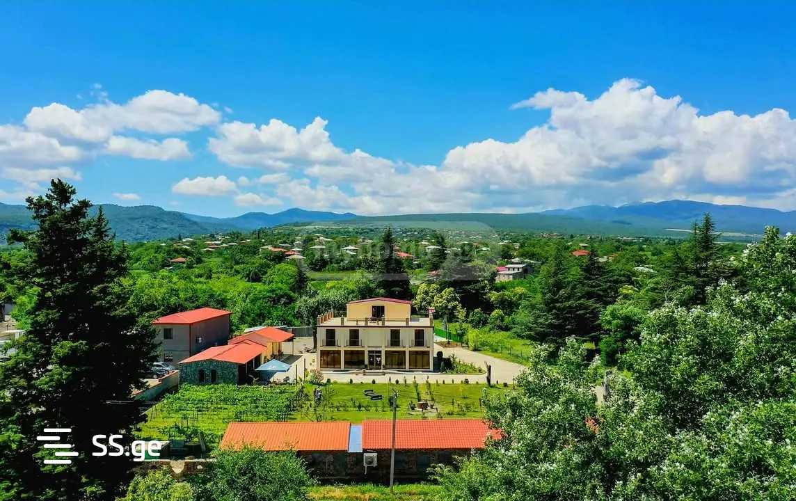 Hotel For Sale. Telavi, 2 of 4
