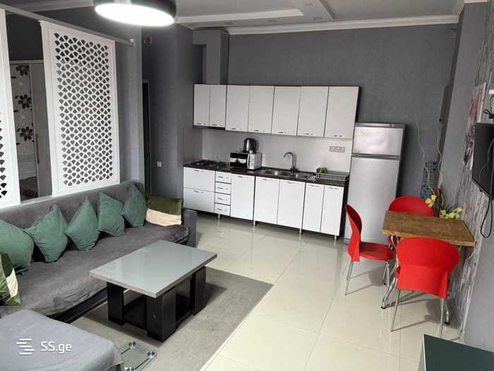 https://static.ss.ge/20250314/13_30464b32-7f7a-46d1-937d-bf6614c88411_Thumb.jpg