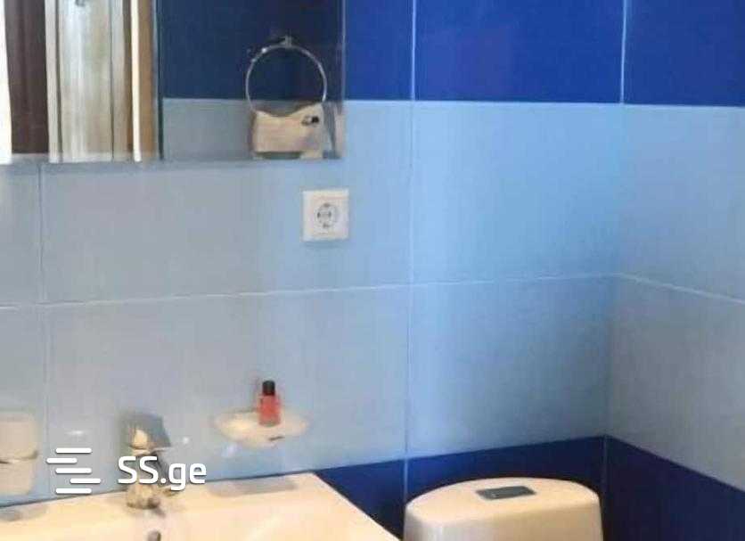 16 Room Hotel For Rent. Digomi view 11