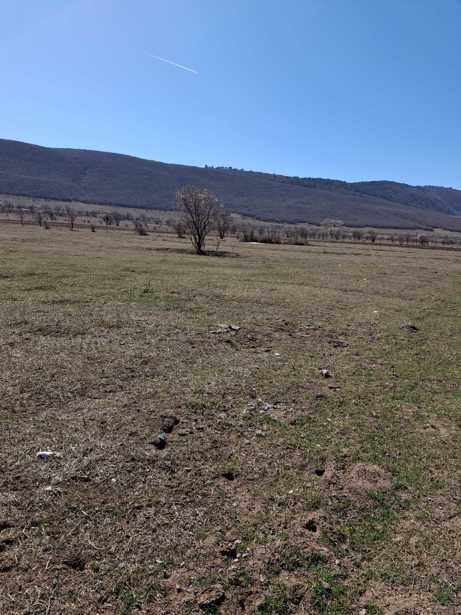 Land For Sale. Kavtiskhevi