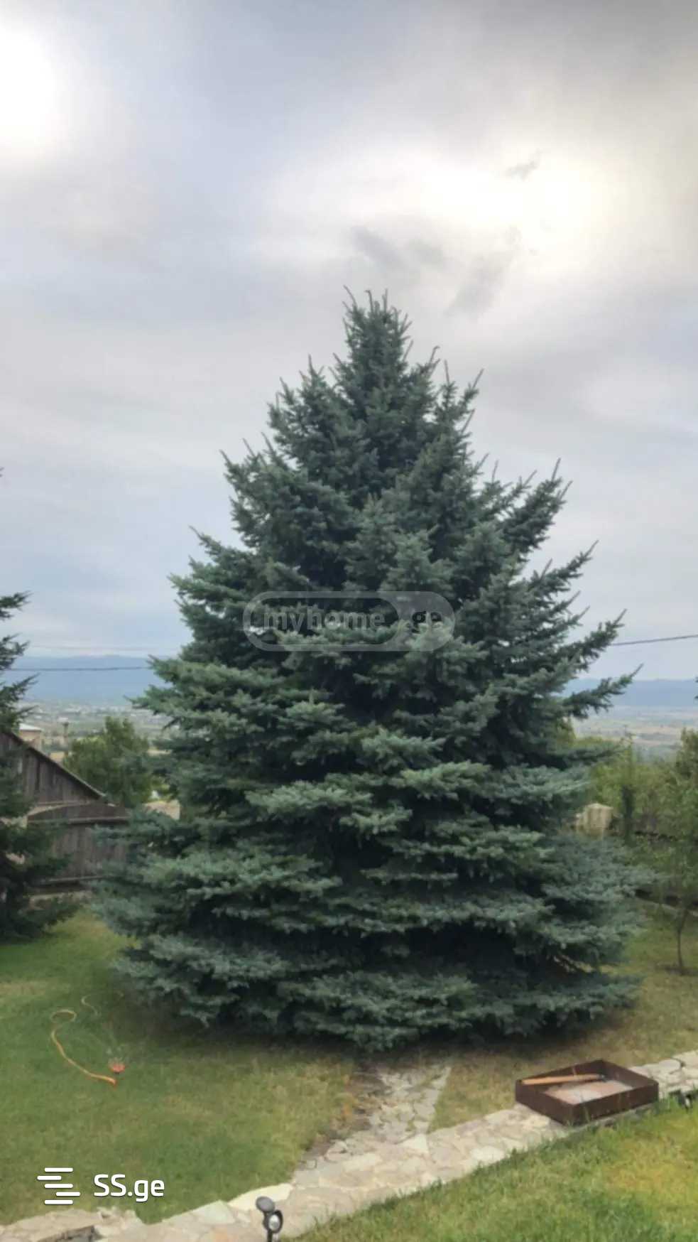 8 Room Summer Cottage For Sale view 10