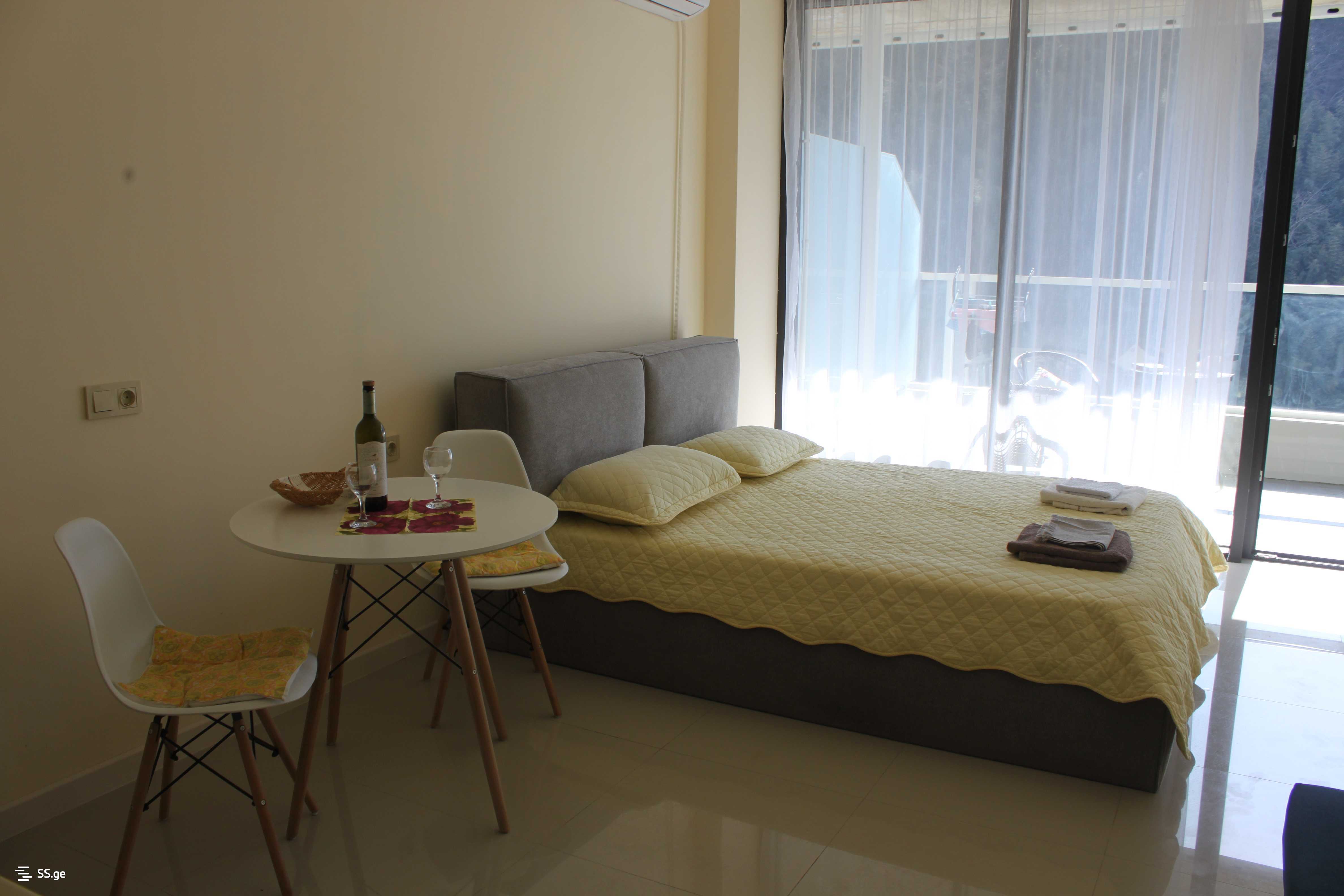 1 Room Flat For Rent. Tsikhisdziri view 7