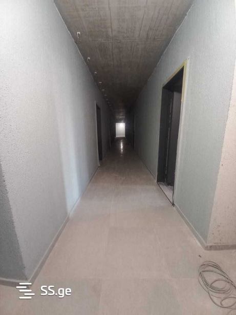 https://static.ss.ge/20250317/16_d77d986a-8eba-44e7-b587-28334299aa1f_Thumb.jpg