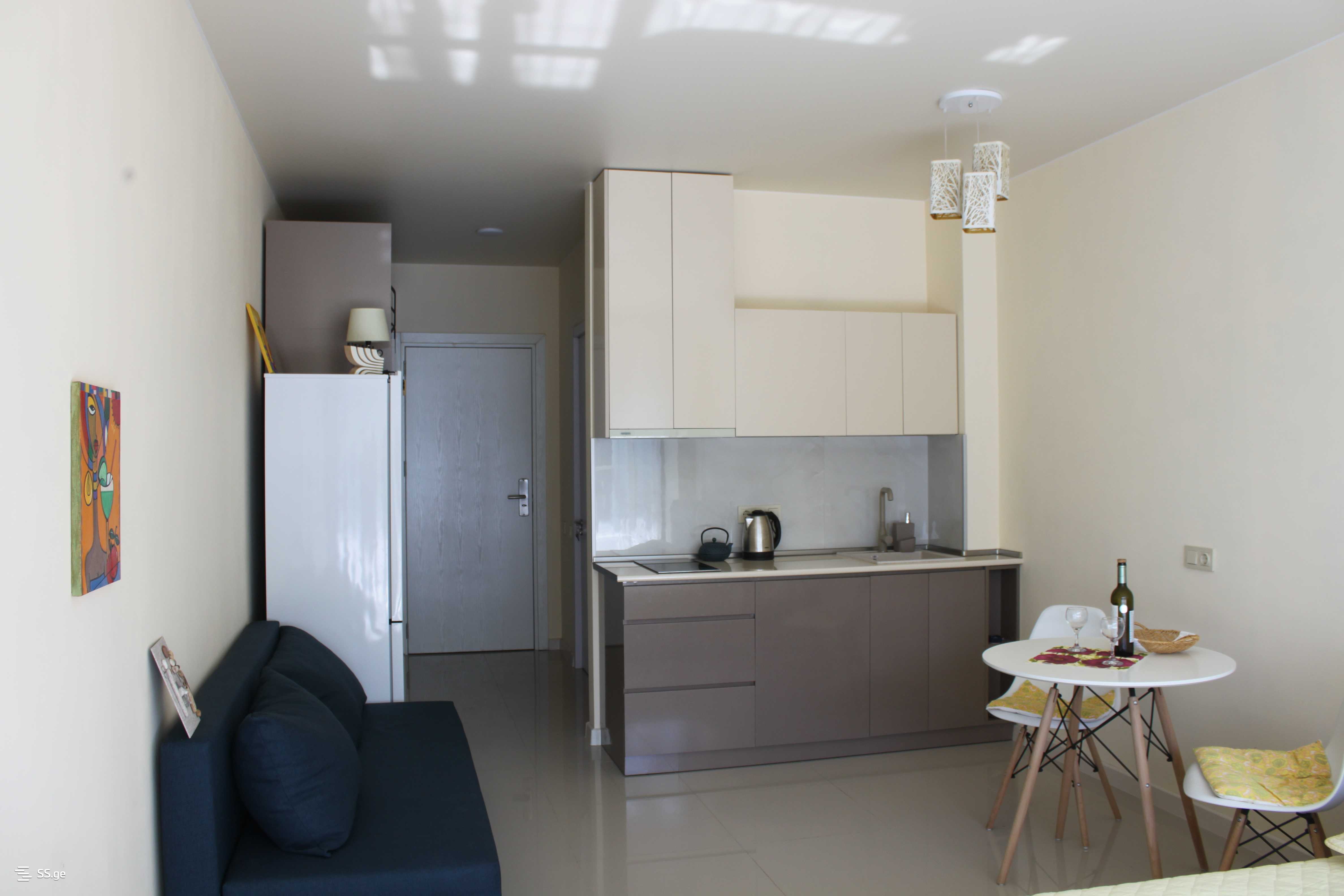 1 Room Flat For Rent. Tsikhisdziri view 10