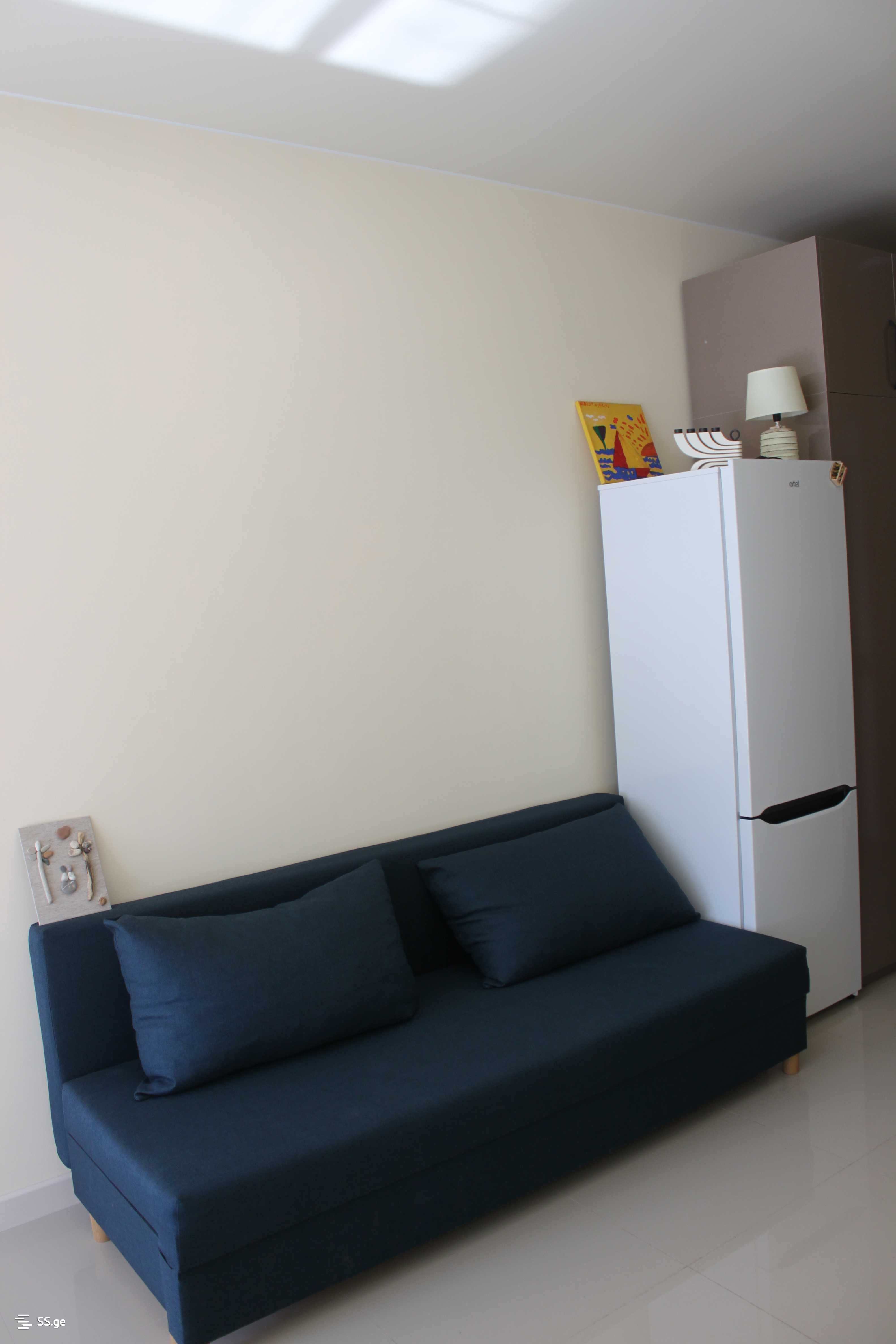 1 Room Flat For Rent. Tsikhisdziri view 8