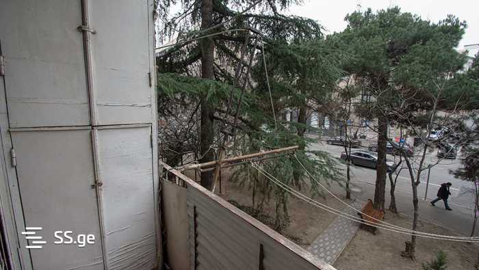 https://static.ss.ge/20250318/16_5a7ff7f7-59a7-400a-b5cb-ec83ec358792_Thumb.jpg