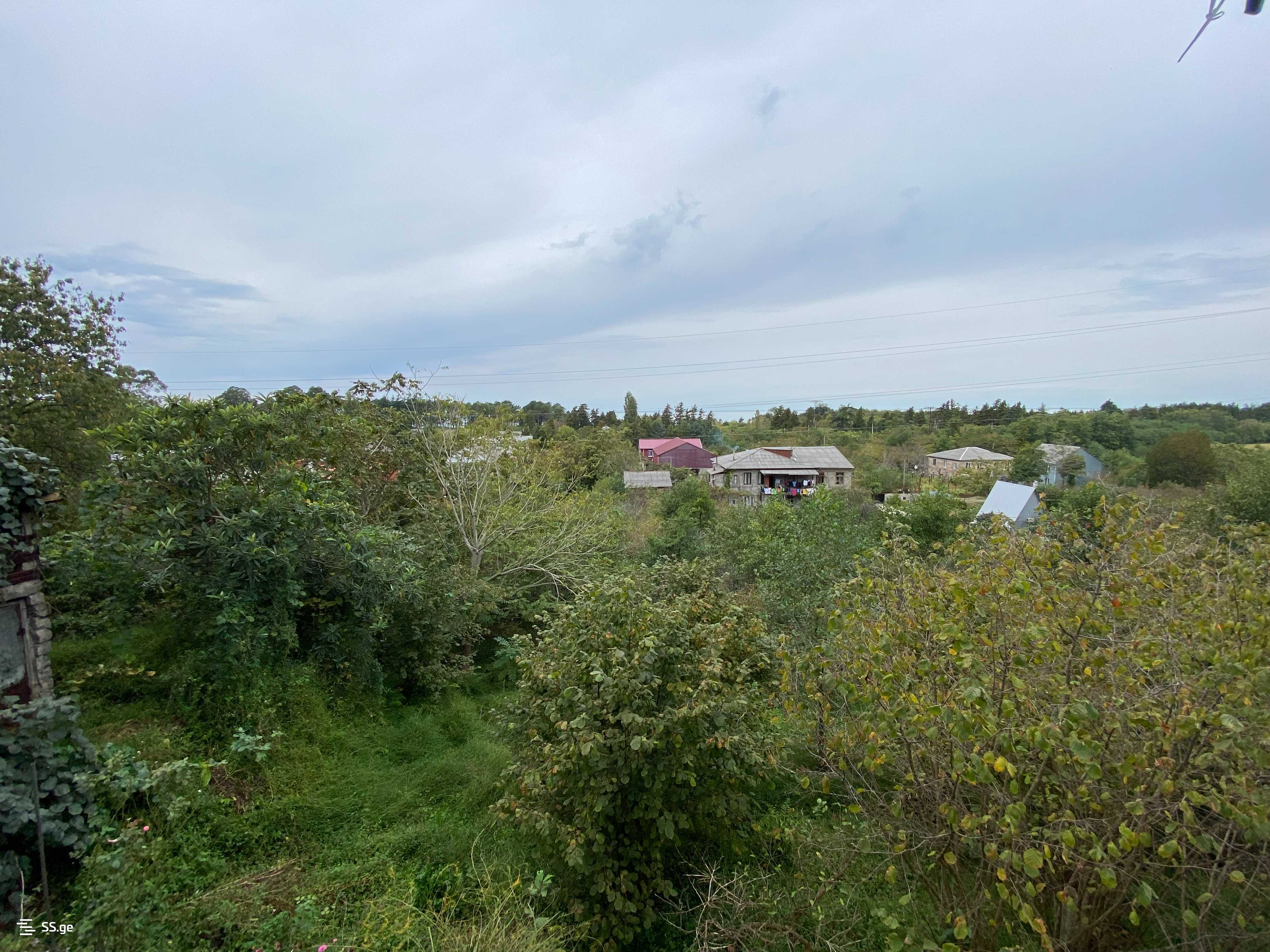 Land For Sale. Tsikhisdziri view 2