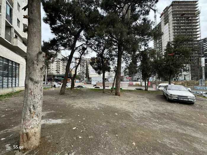 https://static.ss.ge/20250319/1_1c77cd70-cdff-4ba8-9d9b-664767df67b0_Thumb.jpg