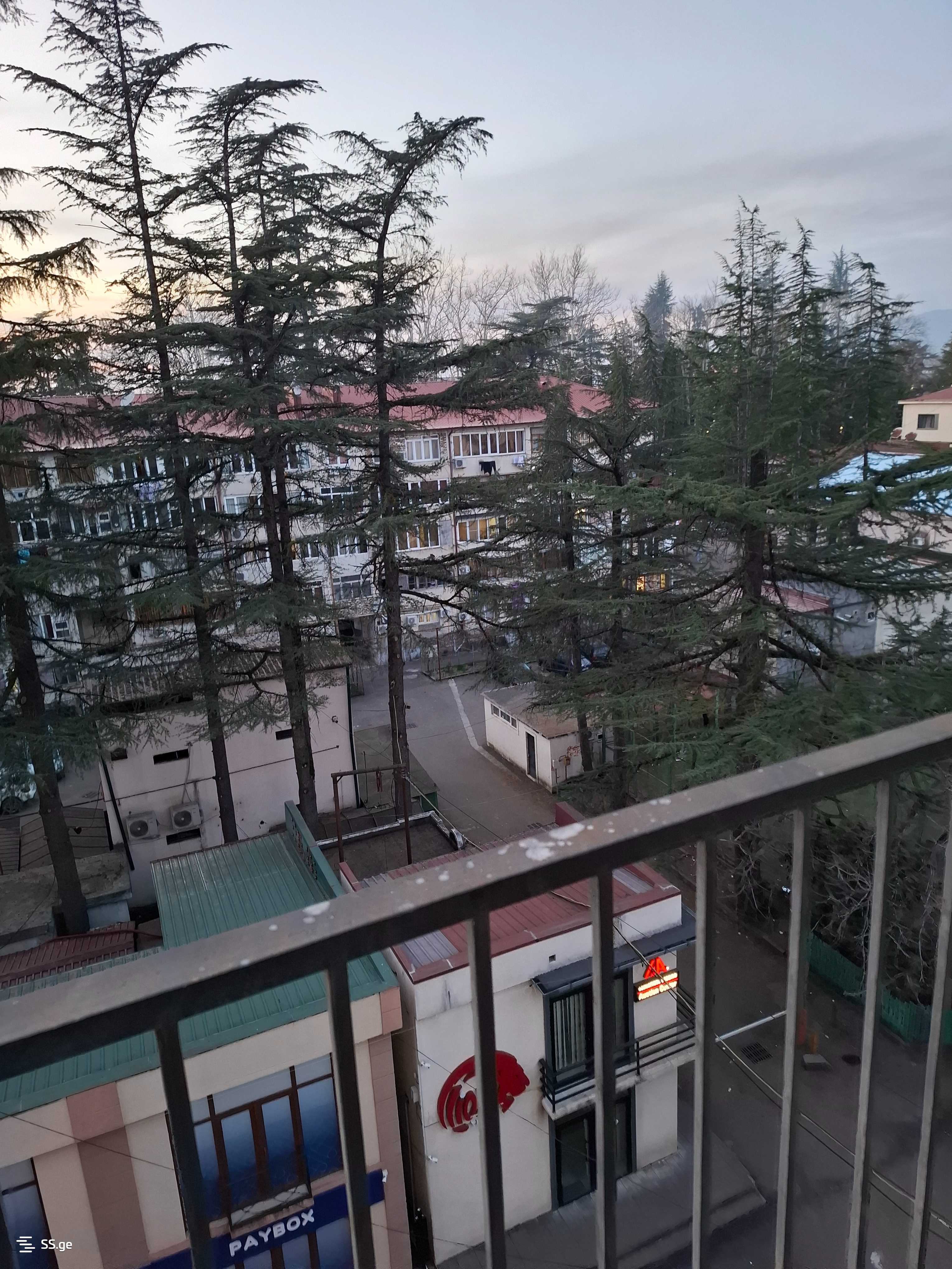 3 Room Flat For Rent. Zugdidi view 6