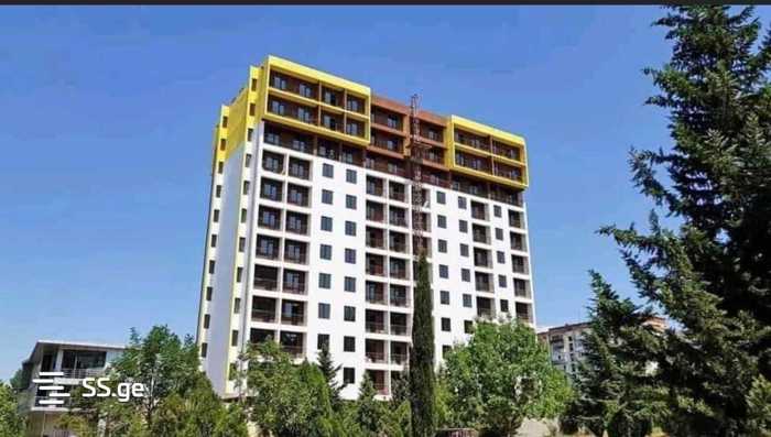 https://static.ss.ge/20250320/1_f616ca8c-2efe-4bc1-9e50-00a14e0125a6_Thumb.jpg