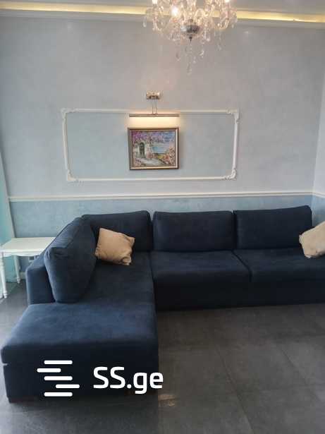 2 room Flat For Rent. Vake - Aanzicht 4