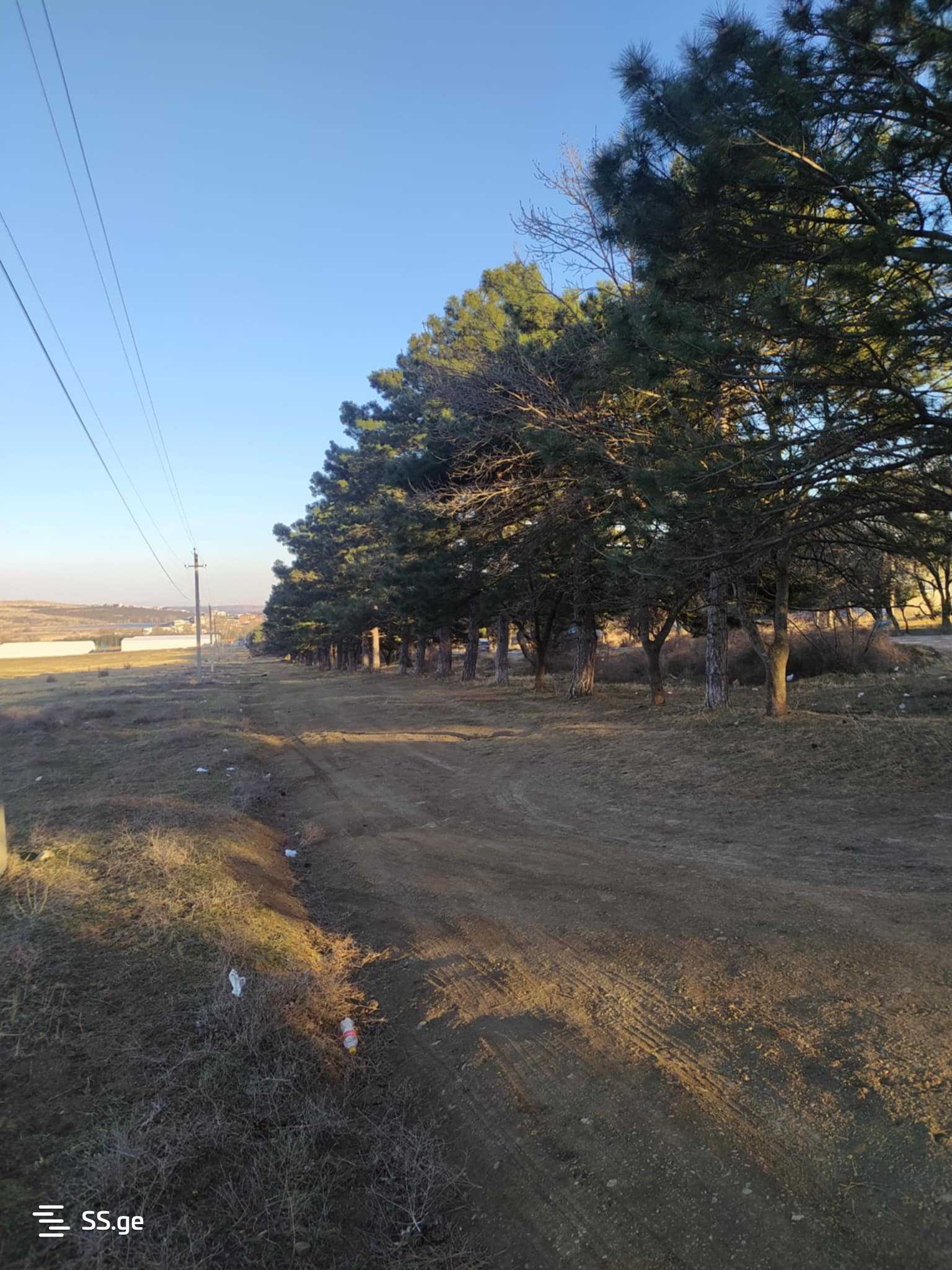 Land For Rent. Lisi Lake view 3