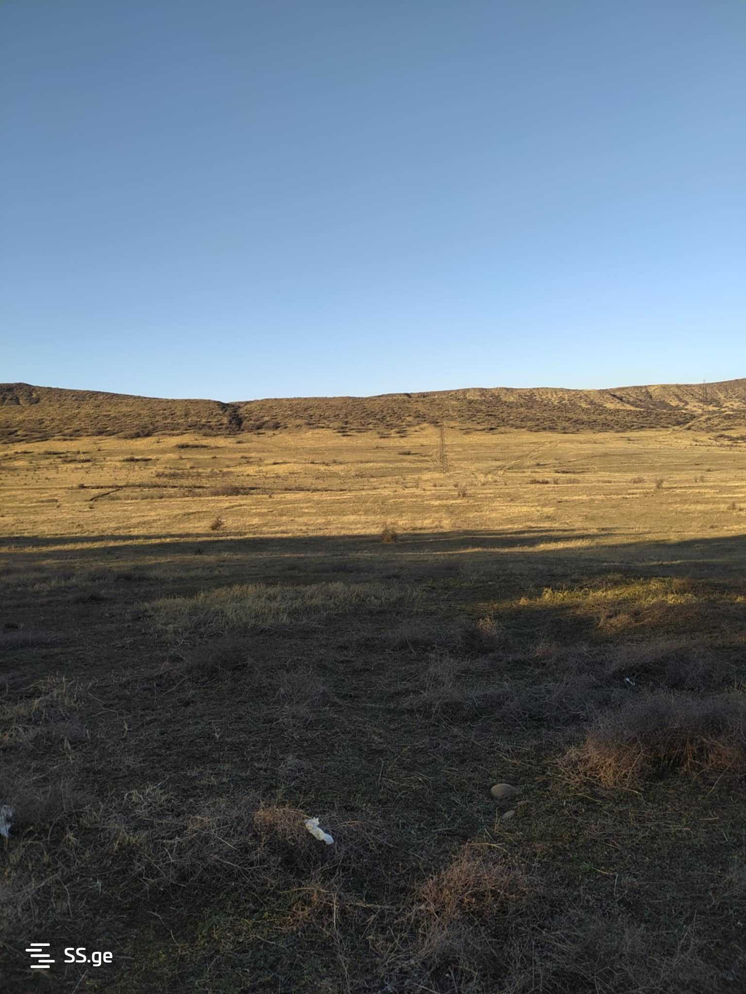 Land For Rent. Lisi Lake view 7