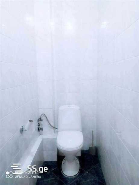 https://static.ss.ge/20250321/11_5a2cb9cb-7a45-4b9f-b0e1-fd32b204376b_Thumb.jpg