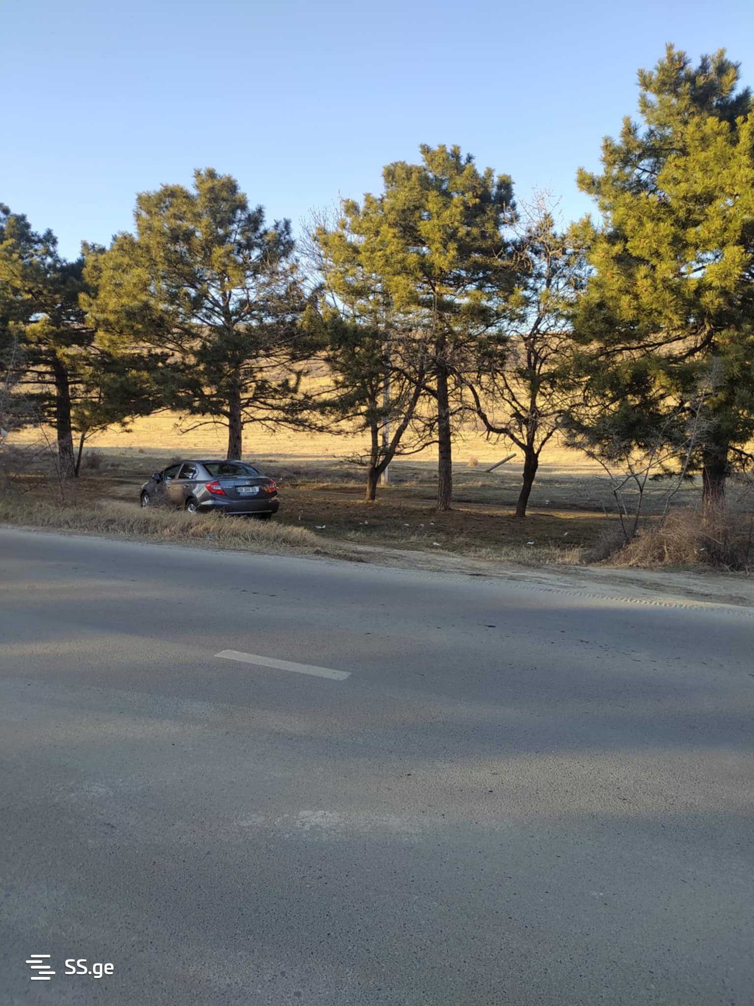 Land For Rent. Lisi Lake view 5