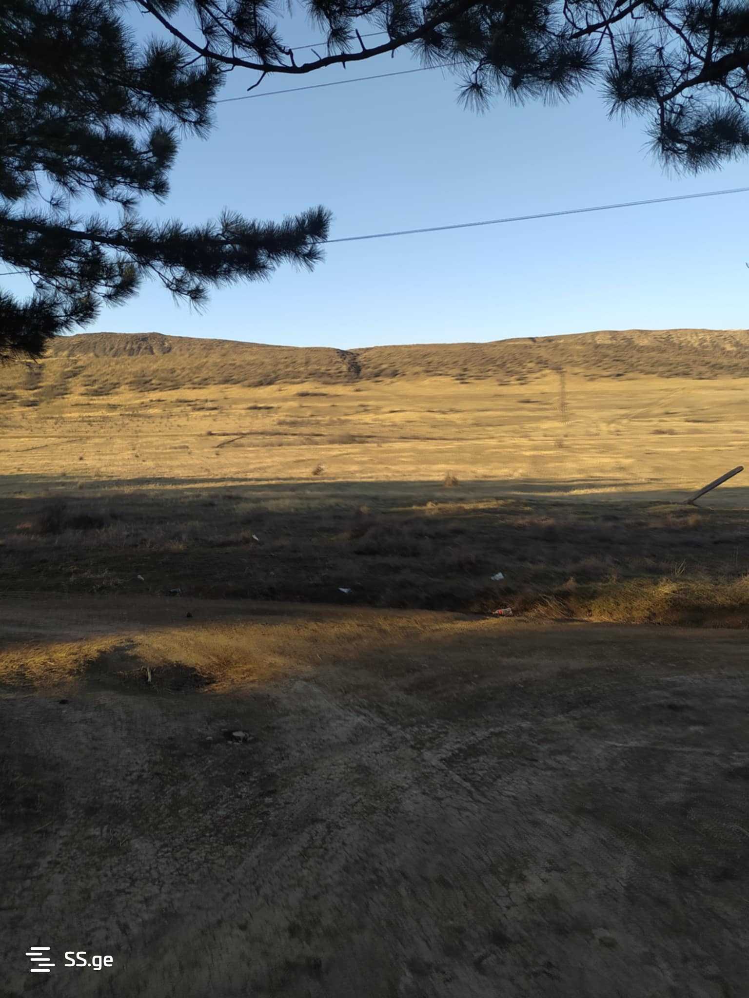 Land For Rent. Lisi Lake view 4