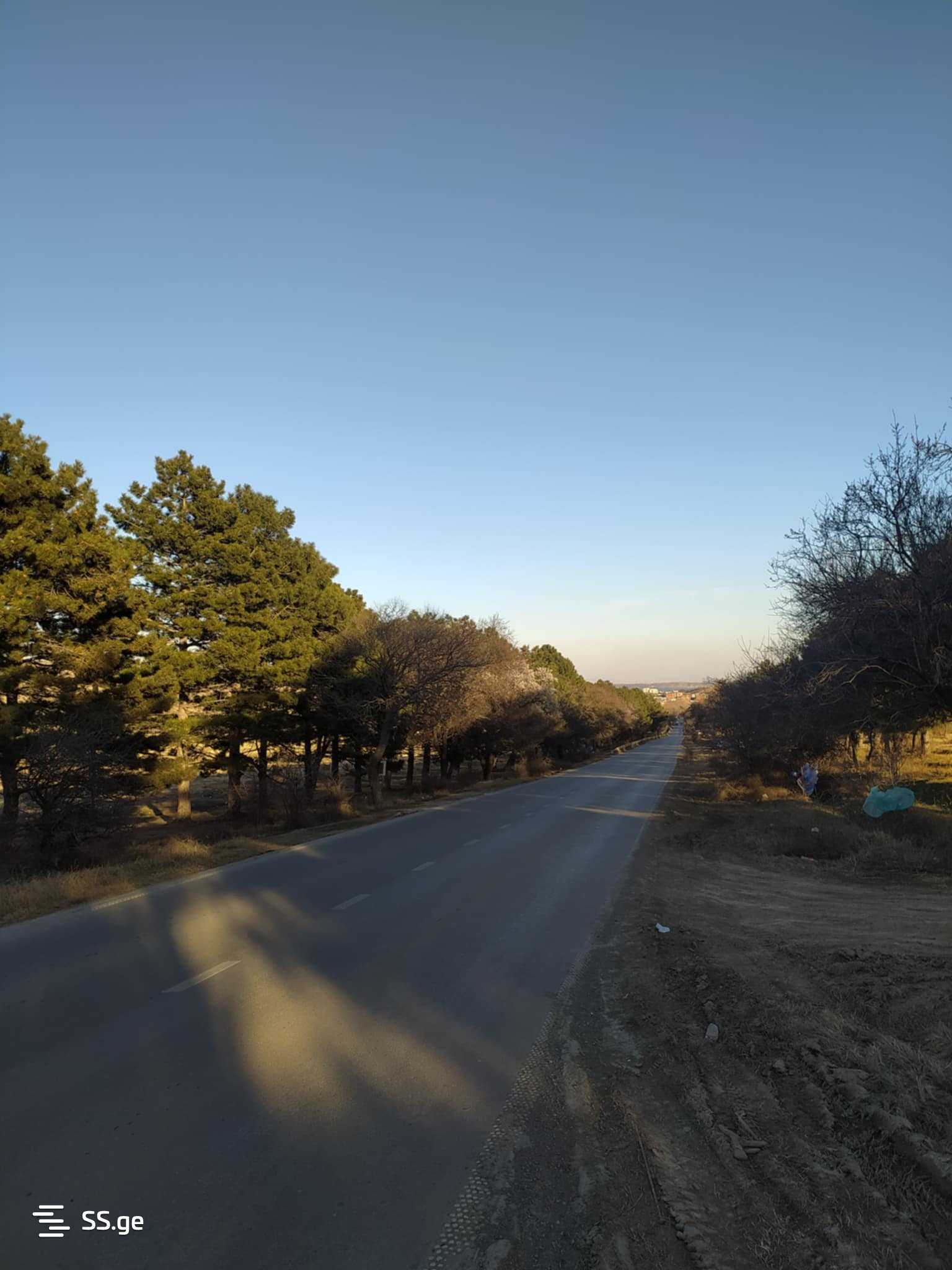 Land For Rent. Lisi Lake view 8