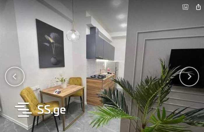 https://static.ss.ge/20250322/16_769f704b-e0ba-4732-a126-29b213f6a3a7_Thumb.jpg