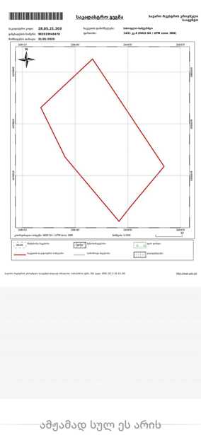 https://static.ss.ge/20250325/19_6206e051-35cf-4709-9ad3-60f52f96806b_Thumb.jpg