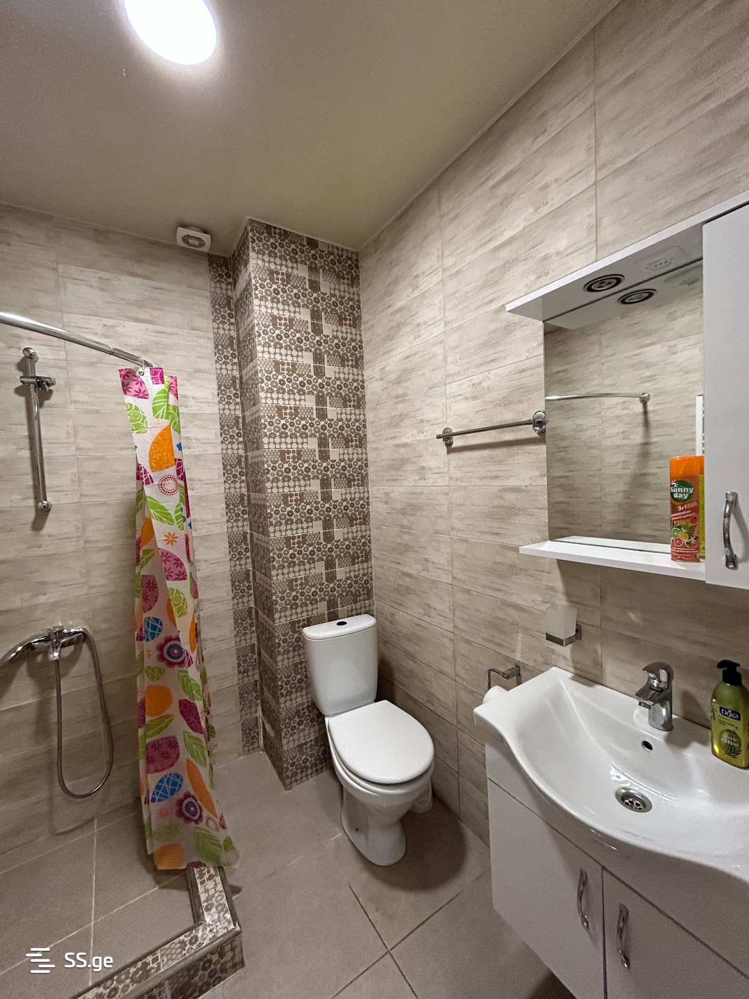 2 Room Flat Daily Rent. Nadzaladevi view 8