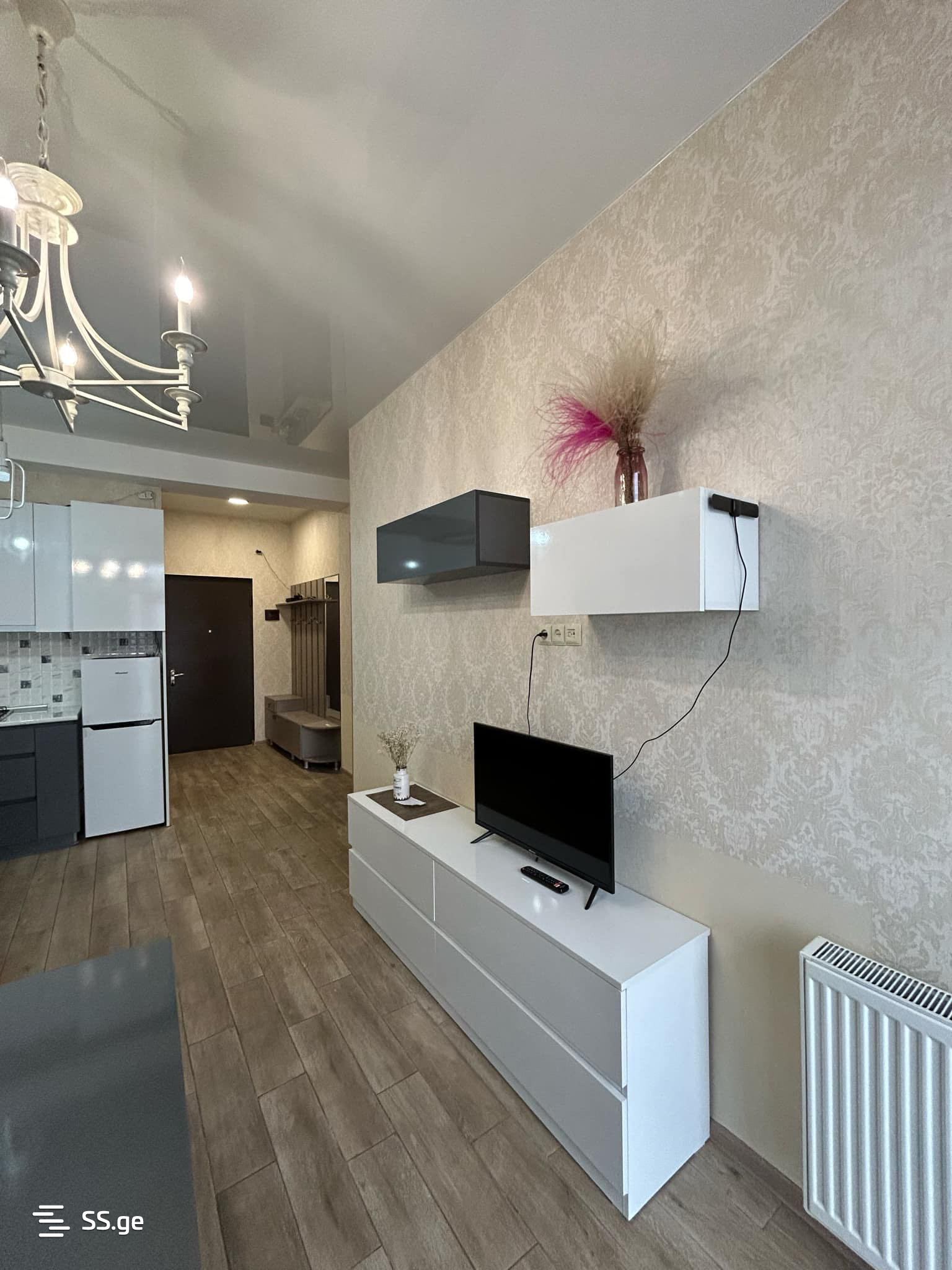 2 Room Flat Daily Rent. Nadzaladevi view 3