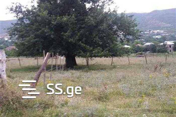 https://static.ss.ge/20250326/6_9c18f168-d179-40b1-ae86-f0b28512e084_Thumb.jpg