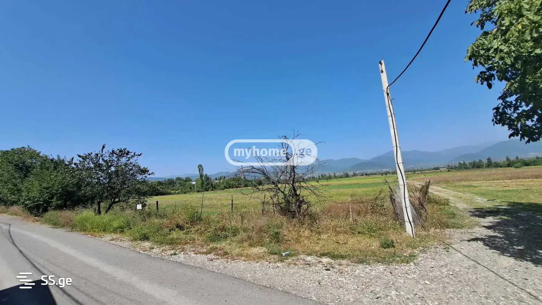 Land For Sale. Akhmeta view 4