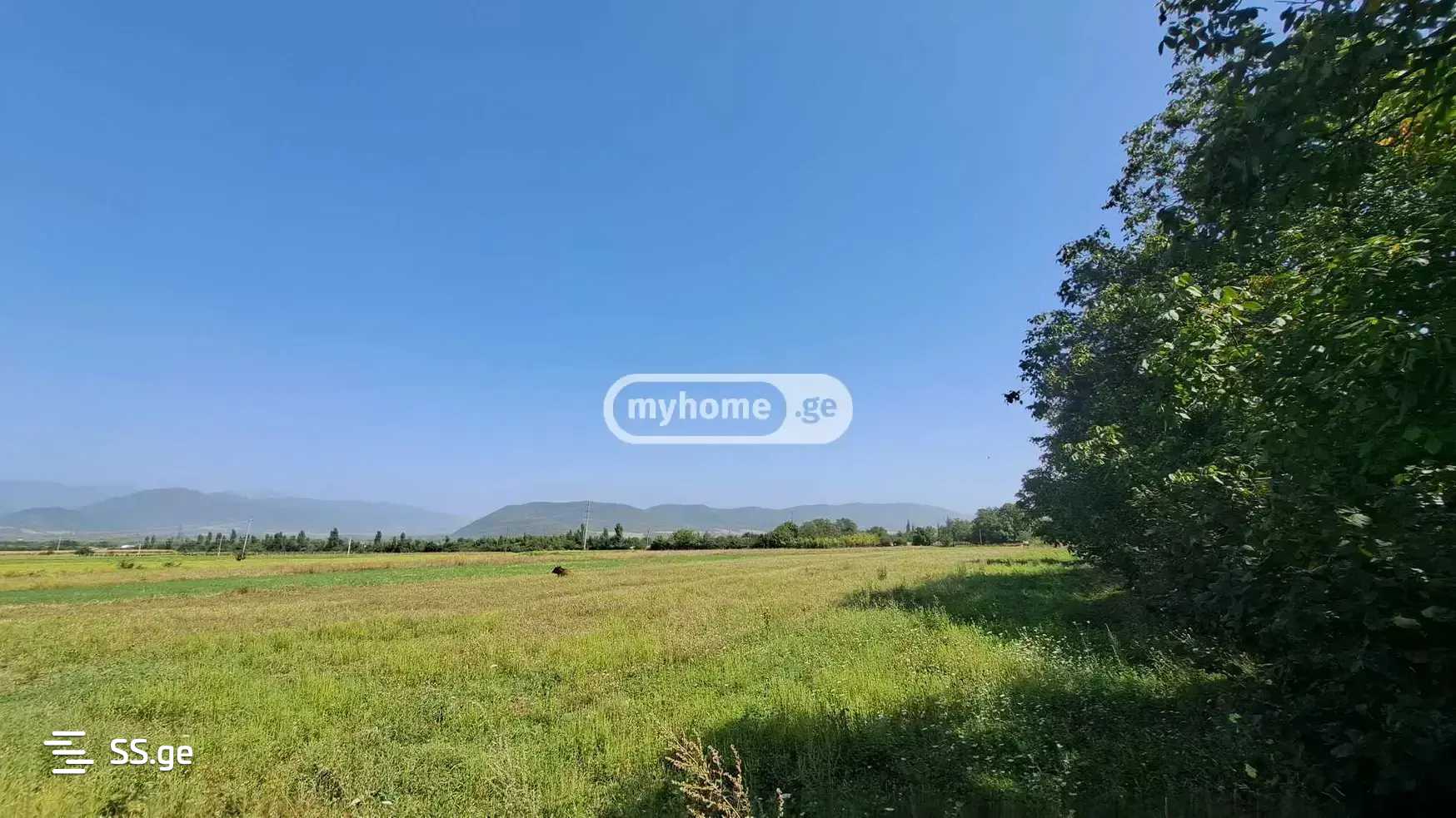 Land For Sale. Akhmeta view 2