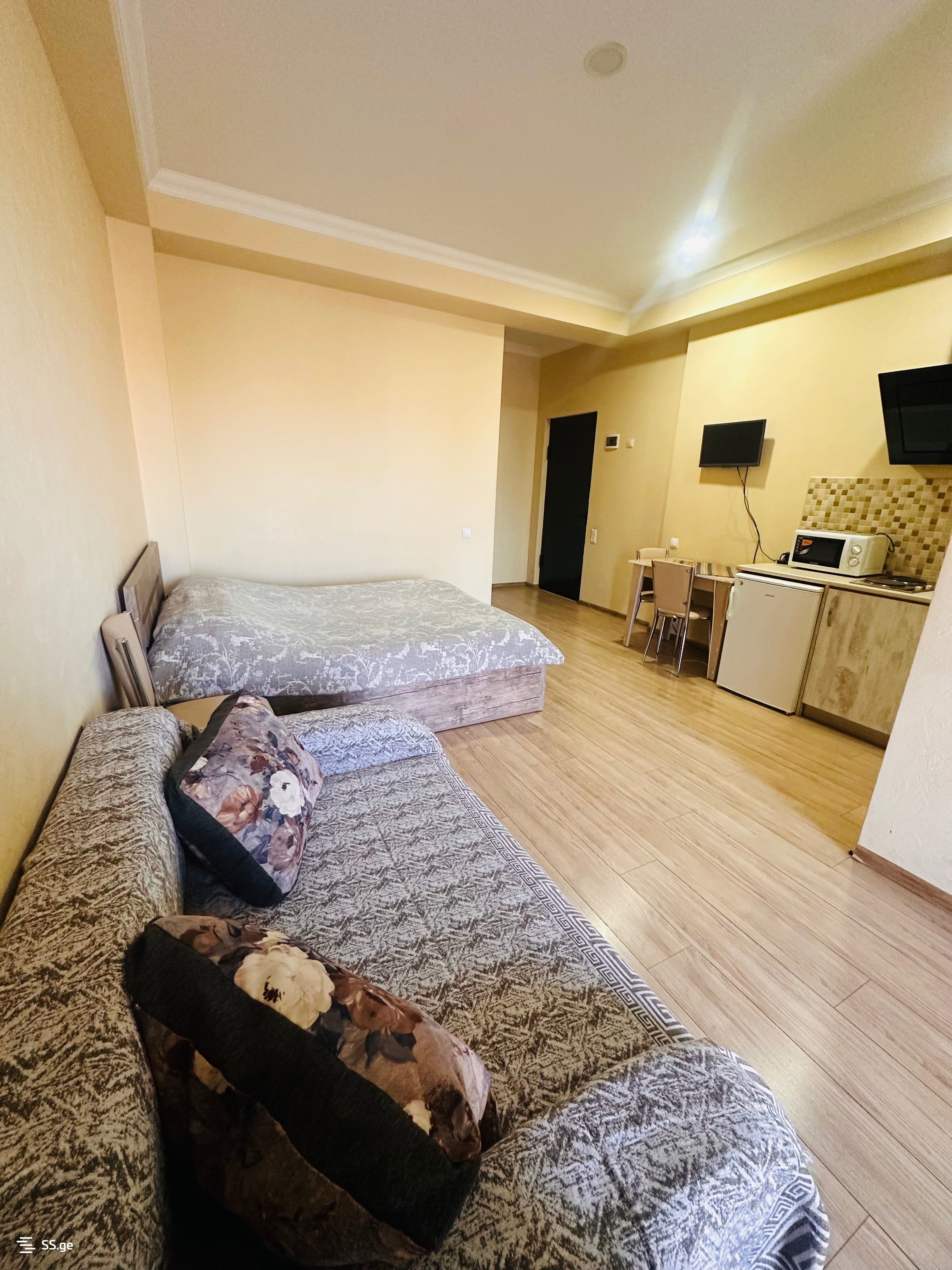 1 room Flat Daily rent. Isani - Ansicht 6