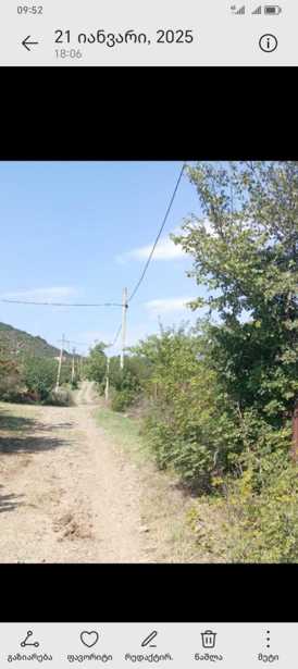 https://static.ss.ge/20250403/5_616c8a56-8252-40f6-ab9f-4d658b8cbc84_Thumb.jpg