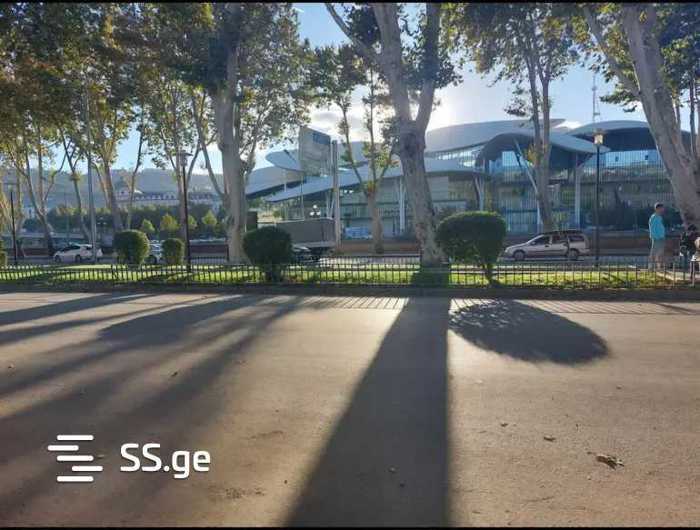 https://static.ss.ge/20250404/11_be94bcdf-3bbf-4e0e-8cfe-38d0a4cf0d45_Thumb.jpg