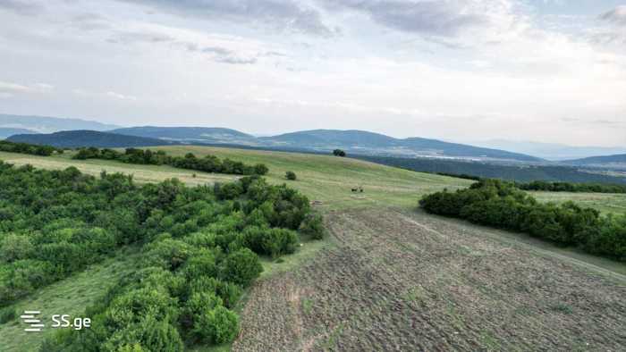 https://static.ss.ge/20250405/9_b10bf846-7d95-4fb9-becf-1d207ba3f1e4_Thumb.jpg