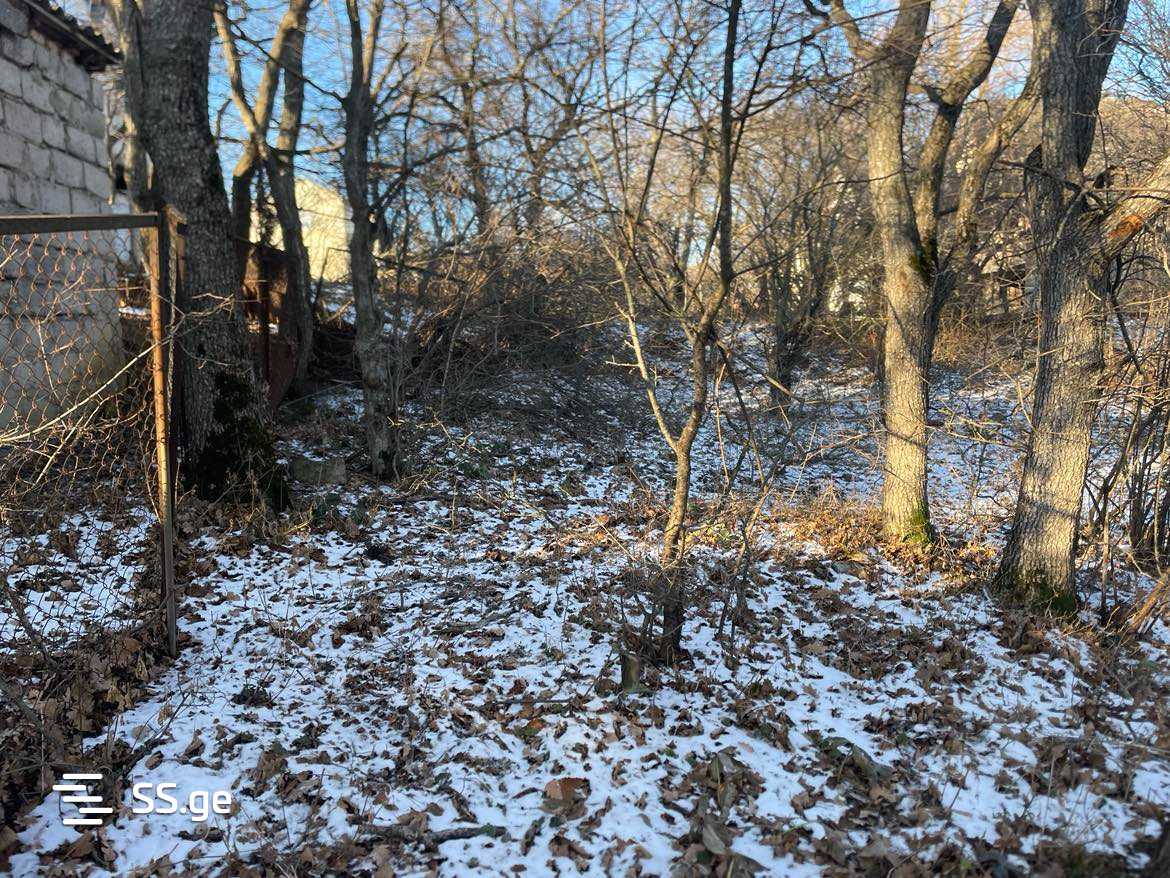 Land For Sale. Mukhattskaro view 23