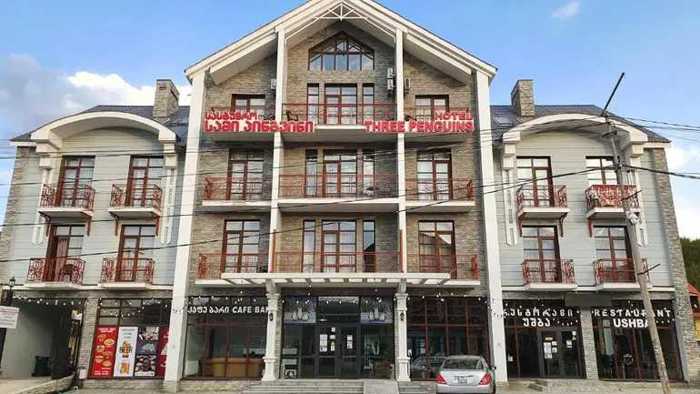 Hotel For Sale. Bakuriani